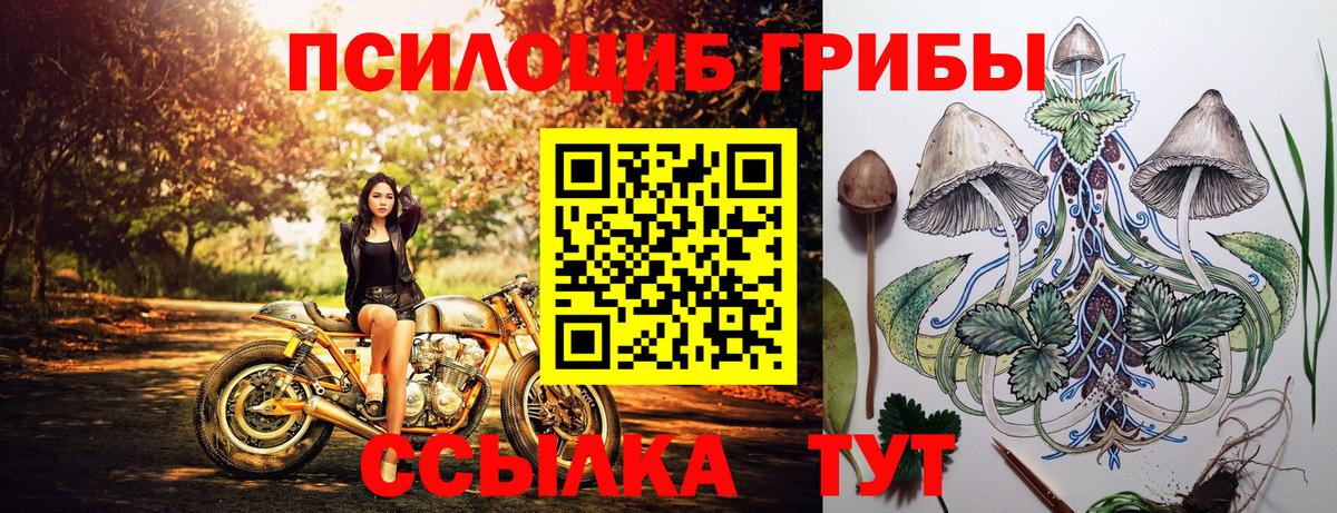 Партизанск  Псилоцибиновые грибы мицелий  Вход с VPN  Галлюциногенные грибы прущие грибы 